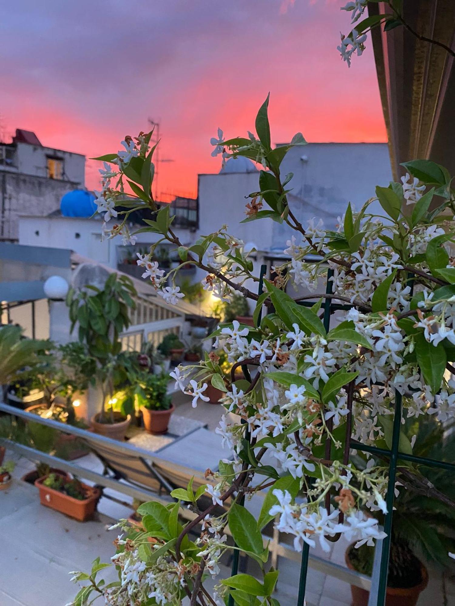 Casa Franzese Acomodação com café da manhã Nápoles Exterior foto